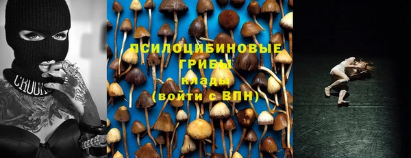 дмт Аркадак