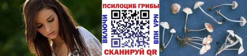 Галлюциногенные грибы MAGIC MUSHROOMS  дарк нет клад  Советский  мега как зайти 